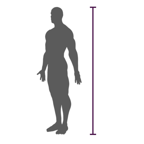 Height Measurement