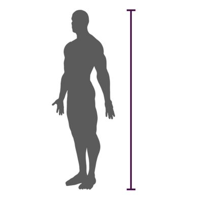 Practitioner Height