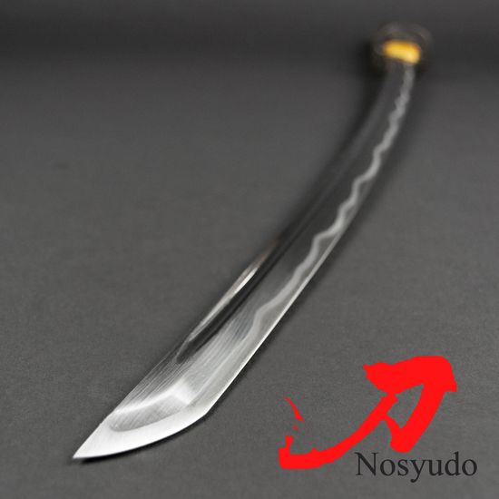 Hamon - Nosyudo Classic Tokujo Iaito