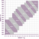 Junior Kendogi Size Chart